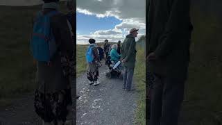 Big Kent Bird Migration Day at Samphire Hoe [upl. by Orsola]