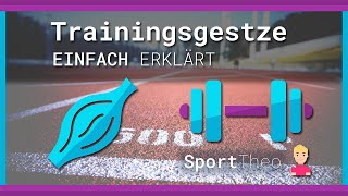 Trainingsgesetze einfach erklärt  Sporttheode [upl. by Arick]