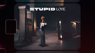 mikah  stupid love Official Lyric Video [upl. by Elletnuahs]