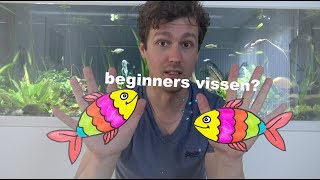 Welke beginners vis moet je Aquarium vissen voor iedereen 8 [upl. by Longawa]