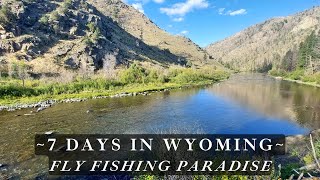 Wyoming is a Fly Fishing Paradise  Ill show you 3 amazing wild trout streams [upl. by Russom]