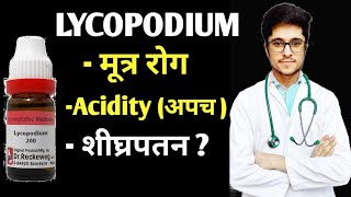 Lycopodium Clavatum 200 Homoeopathic medicine uses in Hindi [upl. by Lever]