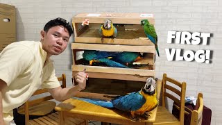 UNBAKSING MGA MACAW ANIM NA MACAW NATIN [upl. by Nahtanoy]