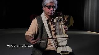 Dhruba Ghosh demonstrates the sarangi [upl. by Nodnek863]