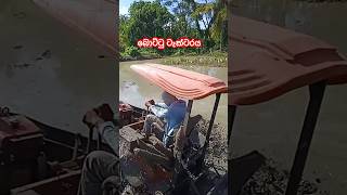 Tractor ටැක්ටරය 🥹🥹 sri lanka agriculture harvesterkingdom [upl. by Lacram]