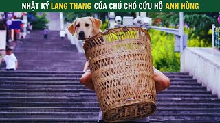 Chú chó Nghiệp vụ nghỉ hưu Lang thang khắp nơi tìm chủ nhân Review Phim cảm động về sự trung thành [upl. by Aihtak601]