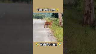 Finally Tiger Dekh Liya 😍 youtubeshorts shorts [upl. by Akisey]