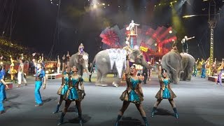 Highlights from Ringling Bros Circus Xtreme 2015 tour [upl. by Neerol747]