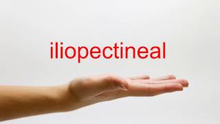 How to Pronounce iliopectineal  American English [upl. by Elem]