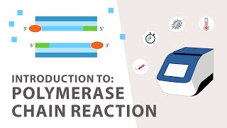 1 PCR Polymerase Chain Reaction Tutorial  An Introduction [upl. by Yelwah]