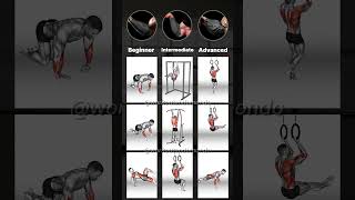 Bodyweight FOREARM WORKOUTS for ALL Levels Build Strength FAST [upl. by Ossy843]