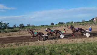 7ma CARRERA HIPÓDROMO DE CHIVILCOY  131024  GM BUSCADO [upl. by Nabi]