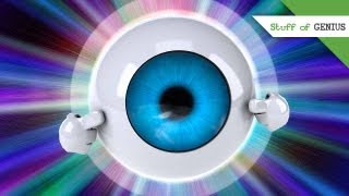 William Dobelle and the Artificial Eye  Stuff of Genius [upl. by Adnahsed]