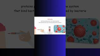 ANTIBIOTIC ANTIBODY antibioticresistance bacteria microbiology biochem physiology immune [upl. by Suivatco]