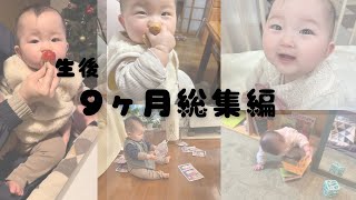 【生後9ヶ月】ひまりの生後9ヶ月目の成長記録 [upl. by Dabney]