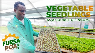 VEGETABLE SEEDLINGS PROPAGATION [upl. by Olatha]