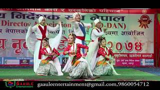 Best Chhaliya danceNational dance day 2017Kathmandu [upl. by Ydissahc784]