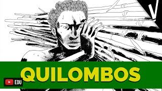 O QUILOMBO DOS PALMARES │ História do Brasil [upl. by Alisa]