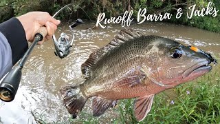 Fishing for Mangrove Jack amp Barramundi in the Freshwater Runoff [upl. by Legyn572]