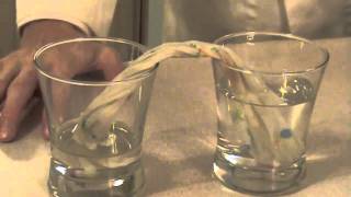 Capillary Action Experiment [upl. by Ynohtnakram742]