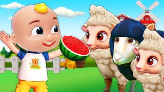 Little Sheeps First Haircut  Baa Baa Black Sheep 🐑 CoComelon Nursery Rhymes amp Kids Songs [upl. by Franciskus50]