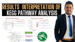 How to interpret the results of KEGG pathway analysis [upl. by Kcinom989]