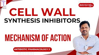 Antibiotics mode of action malayalam Penicillins Cephalosporins Vancomycin Cell wall Inhibitors [upl. by Schechinger]