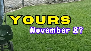 How To Have A Beautiful November Lawn  Delay Dormancy [upl. by Eliathan]