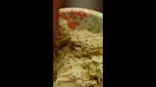 Maggots in my Ramen Noodles [upl. by Ailugram]