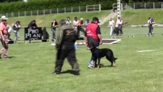 Beauceron Nationale d Elevage 2009 Ring 3 2 partie [upl. by Mack]