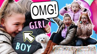 OUR SPECIAL SURPRISE BABY GENDER REVEAL  EMOTIONAL [upl. by Aicelet]