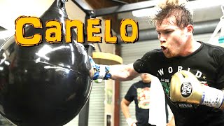 CANELO ALVAREZ ▶ TRAINING MOTIVATION HD [upl. by Py]