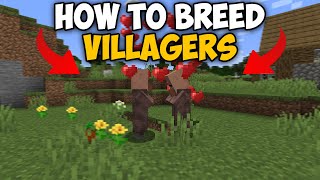 Minecraft How To Breed Villagers 121 [upl. by Auliffe]