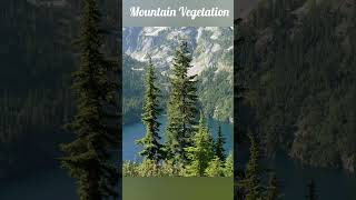 5 TYPES OF NATURAL VEGETATION OF INDIA [upl. by Ahsiener]