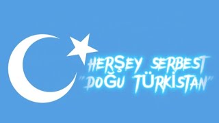 DOĞU TÜRKİSTAN HERŞEY SERBEST  AGE OF HİSTORY 2 [upl. by Tubb]