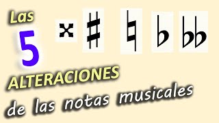 Las 5 ALTERACIONES de las notas MUSICALES Sostenido Bemol Becuadro [upl. by Adnael]