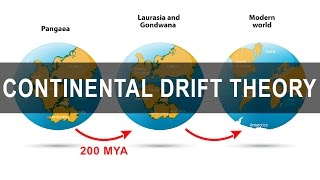 Continental Drift Theory  Alfred Wegener  Pangea  Gondwanaland [upl. by Thacker41]