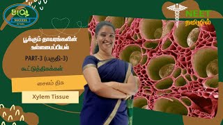 Anatomy of Flowering Plants  Part 3  Complex Tissue  Xylem Tissue  NEET Tamil [upl. by Onofredo]