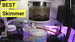 Deltec 600i Skimmer LongTerm Review [upl. by Nabila]