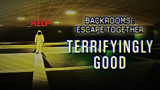 BACKROOMS ESCAPE TOGETHER is some of the BEST COOP HORROR Out There [upl. by Teerprug757]