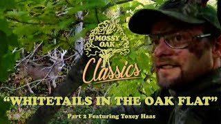 Whitetails in the Oak Flat Pt2 w Toxey Haas  Mossy Oak Classics [upl. by Marquis]