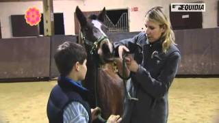 Je veux apprendre un tour à mon poney [upl. by Alcock]