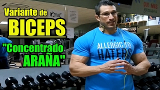 BICEPS Concentrado Araña  con Luis Garcia Cuerpos Perfectos TV HD [upl. by Piane]