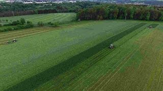 Grassilage 2017 auf einem Schlag MähenWendenSchwaden [upl. by Wyck486]