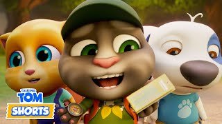 ⛺️ Backyard Camping 🌲  Talking Tom Shorts S2 Episode 50 [upl. by Wilkie]