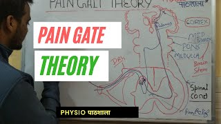 The gate control theory of pain [upl. by Airan]