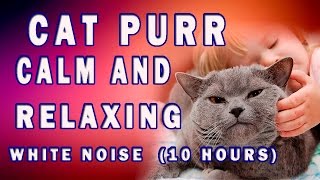 Cat Purr for Healing 10h of Cat Purring Relaxing Sounds [upl. by Lleraj]