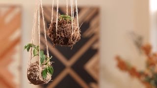 How to make a kokedama hanging garden [upl. by Burnie780]