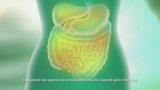 Buscopan® Canada  15 Sec TV Commercial  French [upl. by Allicserp]