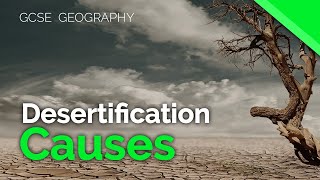 Causes of Desertification  AQA GCSE 91 Geography [upl. by Gregoire]